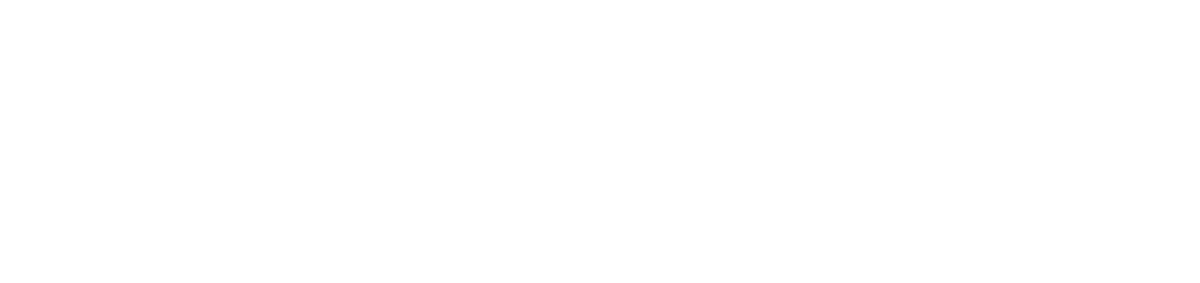 Elena Partners Logo White